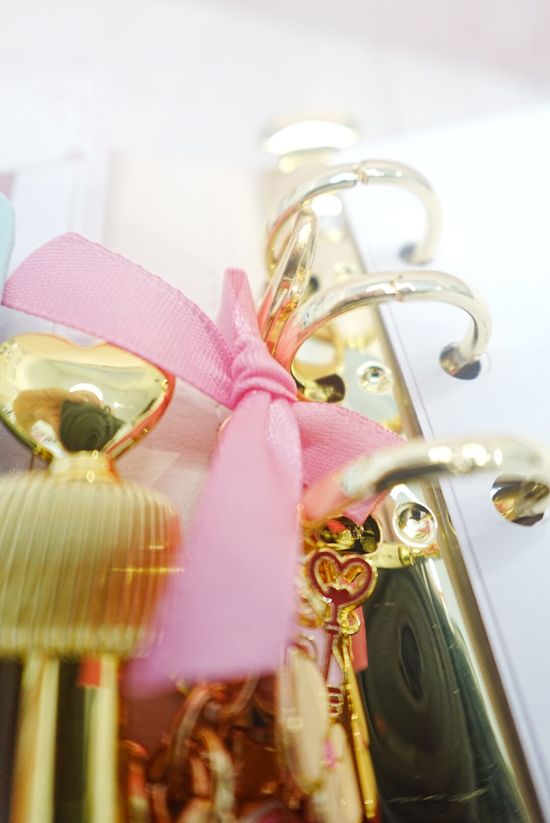 PLANNER HOGARA ROSA - Imagen 6